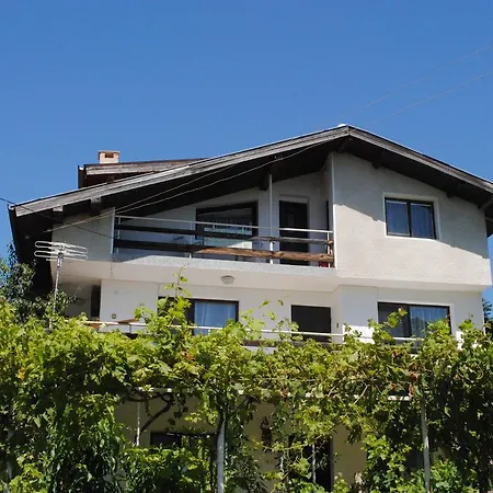 Palma Nisipurile de Aur